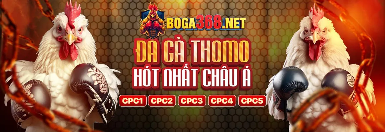 Đá gà trực tiếp Bình Dương 2026