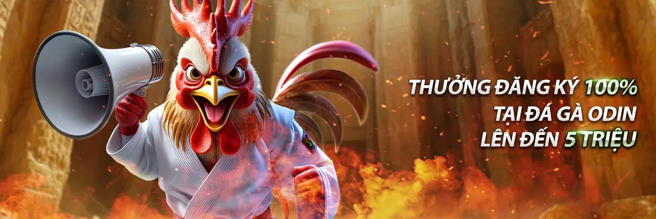 Đá gà trực tiếp bình dương - Sân đấu hùng vĩ